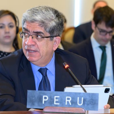 Representante Permanente del Perú ante la OEA | Profesor universitario | Ex-Vicepresidente del Tribunal Constitucional del Perú.