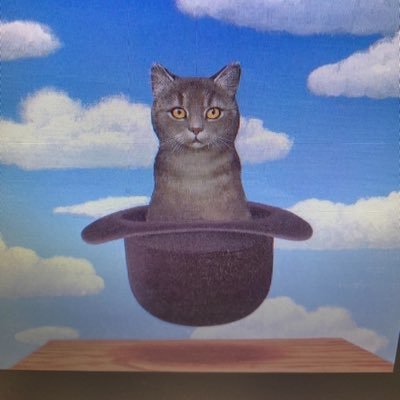 StefaniaSte1909's profile picture. 