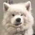 ๐๐๐๐๐ (@tyongie_bubu) Twitter profile photo ๐๐๐๐๐ (@tyongie_bubu) Twitter profile photo