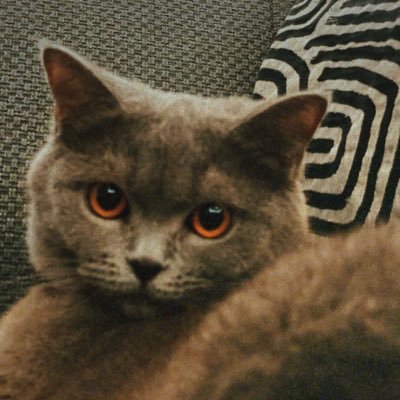 kbrbcntrz's profile picture. blurry 🌪 instagram: art.rare 🪄