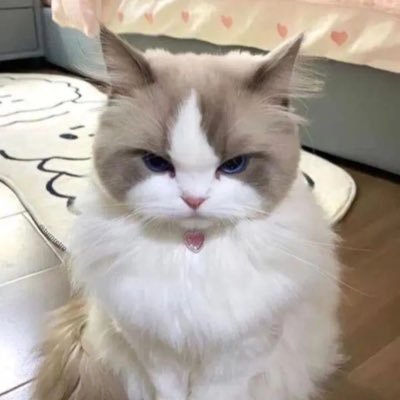 nguyn8_yn's profile picture. 