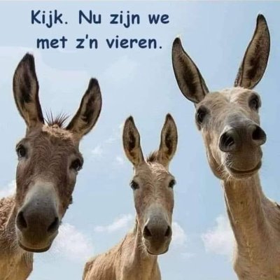 renaultje2000's profile picture. 