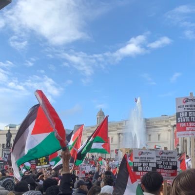 give me mud & green things. constantly angry at the existence of detention centres 🇵🇸