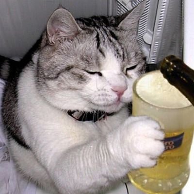 猫の秘書左衛門【ねこの】 📜🌃🤖さんのプロフィール画像
