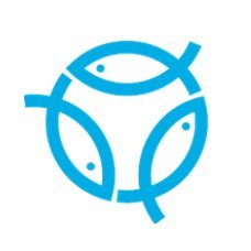 Verfish_project's profile image