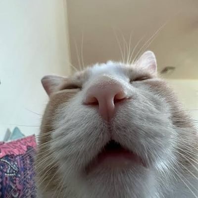 Coolvibes0's profile picture. 