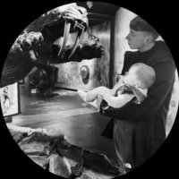 Nico (@njsker) 's Twitter Profile