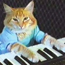 Just a cat with a keyboard, simply vibing (Parody). $KEYCAT

0x9a26F5433671751C3276a065f57e5a02D2817973