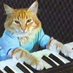 KEYCAT (@KeyboardCatBase) Twitter profile photo