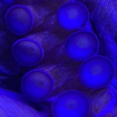 患者さんのプロフィール画像