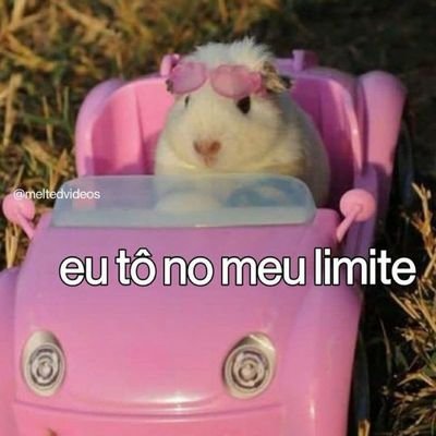 bribrith_'s profile picture. diário nada secreto.