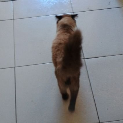 ValriaLour2946's profile picture. o sorriso é a manifestação dos lábios quando os olhos encontram aquilo que o coração procura.