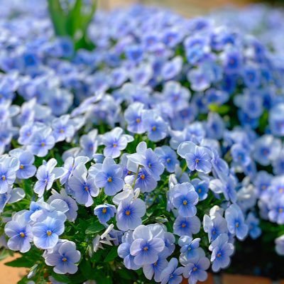 z4y1Xq284n3277's profile picture. 