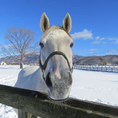 falcon19268676's profile picture. 株主優待銘柄を600銘柄以上保有中。
クオカード優待収集家😊
高配当銘柄へシフト中。
合わない人、嫌な人と関わるのは時間の無駄。時間は有限‼️人を選べる生活は最高です✨
趣味 麻雀、特技 麻雀😄。
東京、京都、大阪、名古屋、福岡等で活動中。
株主優待、旅行、麻雀、競馬等をツイートします。