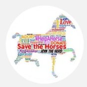 FANS OF THE HUMANS IN HORSE RACING(@FansHorseRacing) 's Twitter Profile Photo