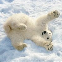 TheCryptoMan20🐐🛡️(✸,✸) (@thecryptoman20) 's Twitter Profile