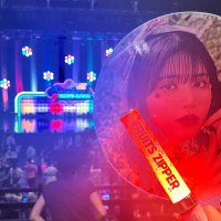 セントポーリア (@0x0mementomori) 's Twitter Profile