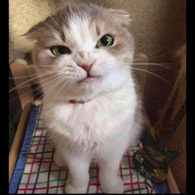 rosiespop2009's profile picture. 