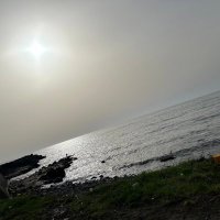 ka (@j1bwb4ftby85231) 's Twitter Profile