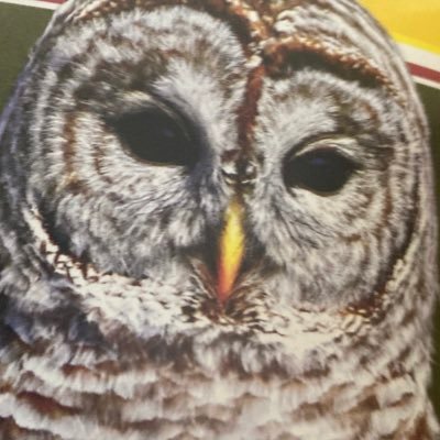 MenaceMad24's profile picture. I hate you , me , and EVERYONE!!!