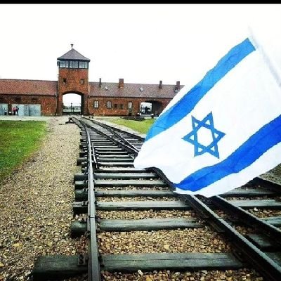 SisnetTi's profile picture. 