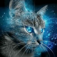 Derf (Jay_ar) (@cate0120) 's Twitter Profile