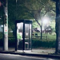 尋常 (@aa___dn) 's Twitter Profile