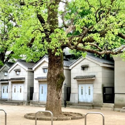 踊れる曲はまだ少ない盆踊ラー 🏮今年はたくさんの盆踊りに参加したいです😄街歩きや美味しいもの巡りも☕️