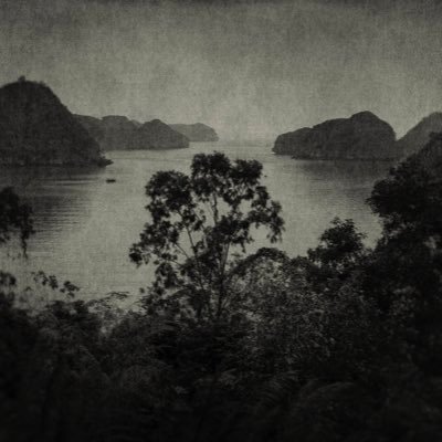 yakkodorii's profile picture. 