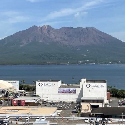 スポーツ観戦(主にプロ野球)が趣味です🌟