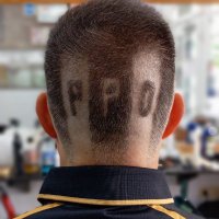 Alejandro Moll (@alejandromoll) 's Twitter Profile Photo Alejandro Moll (@alejandromoll) 's Twitter Profile Photo