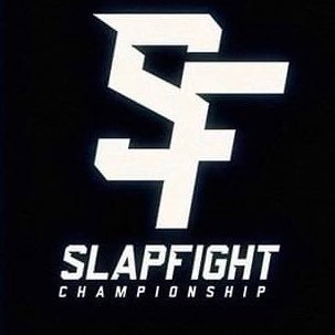 SlapFIGHT Championship Profile