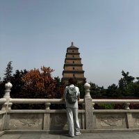 tongse (@tongse8) 's Twitter Profile Photo