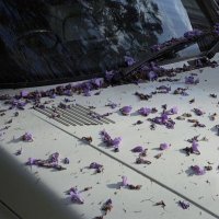 غـيداء (@userghaida) 's Twitter Profile