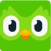 Duolingo (@duolingo) Twitter profile photo