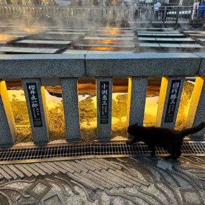 sankousyo114's profile picture. 労働法(技能実習制度・育成就労制度)とかの研究をしたいなーと思ってる法学部生