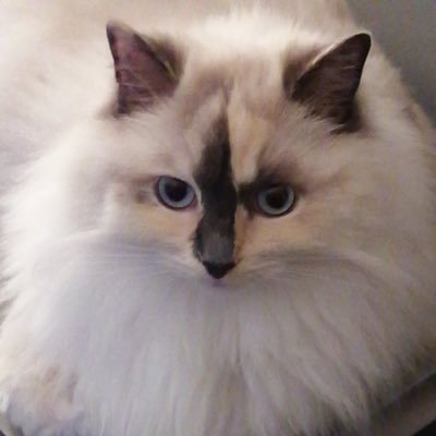 tbshcbtrfg's profile picture. 