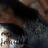 thaniia_fer's profile image