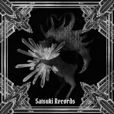 satsukirecords Profile Picture