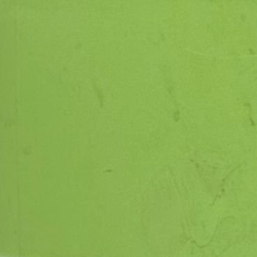 cdman63077966's profile picture. 