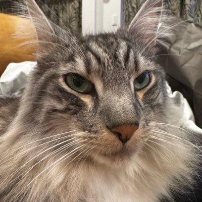 NET INNOVATION LLC.の代表/ネットワークエンジニア/コンテナデータセンター運用中!フォローは気軽にどぞ!!
