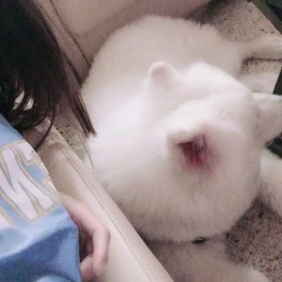 03反差。现实乖乖女 绿泡泡🚪168也是身高！请勿没关注就私信！会生气。长沙地区可线下。其他地区看个人感觉