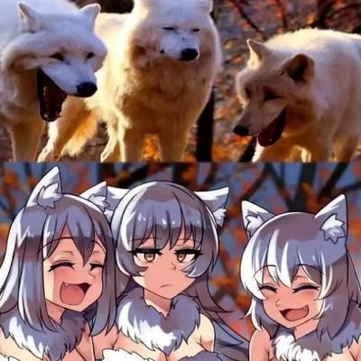 ooduo82863's profile picture. 真好，我也有推了-v-