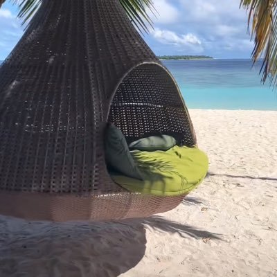 ToyaShante's profile picture. Honeycomb Hideout