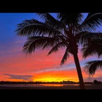 naples beachcomber 🇺🇸 (@ilovenaples000) 's Twitter Profile Photo naples beachcomber 🇺🇸 (@ilovenaples000) 's Twitter Profile Photo