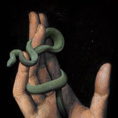 Promizzed's profile picture. 