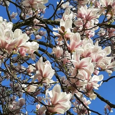 beverlyjon77681's profile picture. 