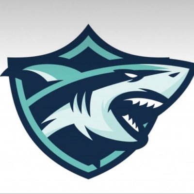 Official Twitter Account of Team Shark | Discord : https://t.co/2WUdTFNjC9 | Looking for Investors | #sharkup😈