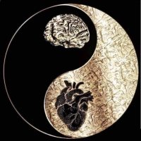 EV 'Something is rotten in the state of Denmark' (@edverk11) 's Twitter Profile