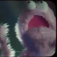 Rubes (@rubesok) 's Twitter Profile